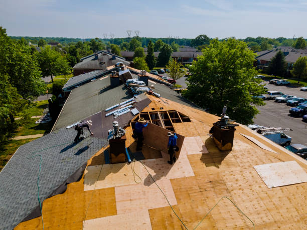 Trusted Storm Damage Roof Repair service in Early Branch, SC - Brentwood Metal Roofing